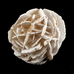 Desert Rose