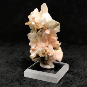 Collector Gallery
